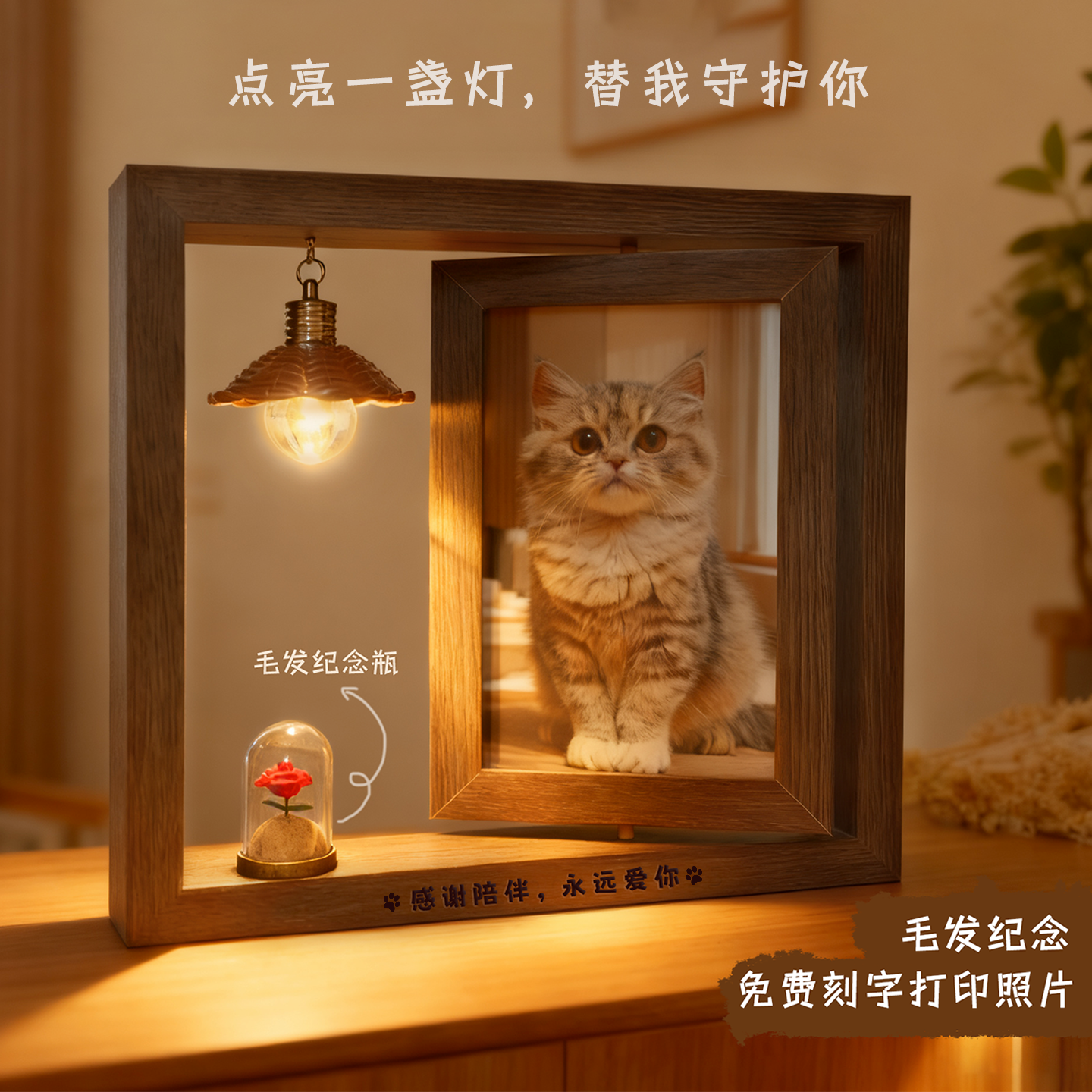 宠物纪念相框摆台照片定制猫咪狗毛发纪念保存收藏宠物离世纪念品