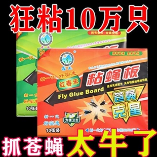 苍蝇贴强效粘贴加大蝇纸灭苍蝇神器家用粘蝇板粘捕苍蝇神器一扫光