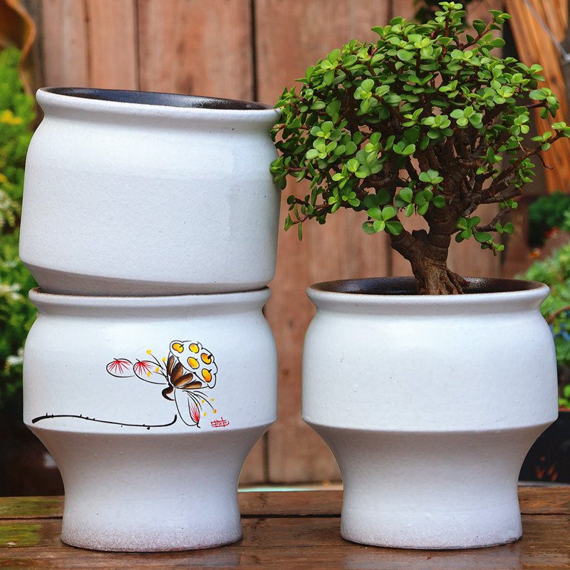 陶瓷简约粗陶透气养根