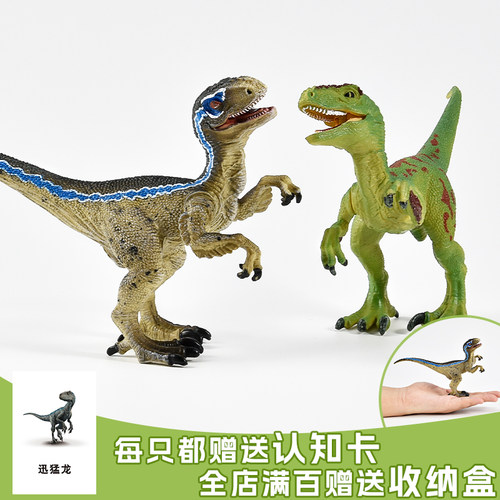 迅猛龙实心无异味出口品质