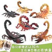 仿真蝎子模型昆虫动物玩具非洲帝王蝎子套装 儿童认知科教礼物摆件