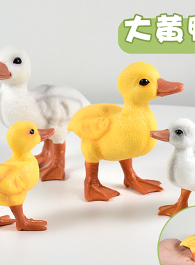 实心儿童农场仿真家禽动物模型玩具可爱大号小黄鸭Duck鸭认知礼物