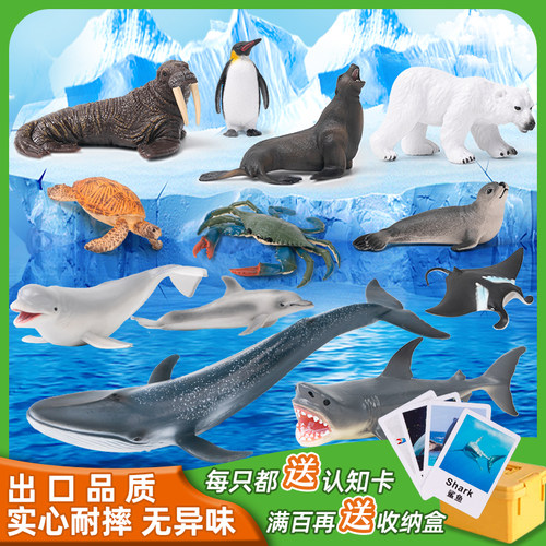 仿真动物模型儿童认知海底世界