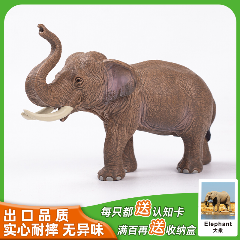 大象公象亚洲象仿真动物模型