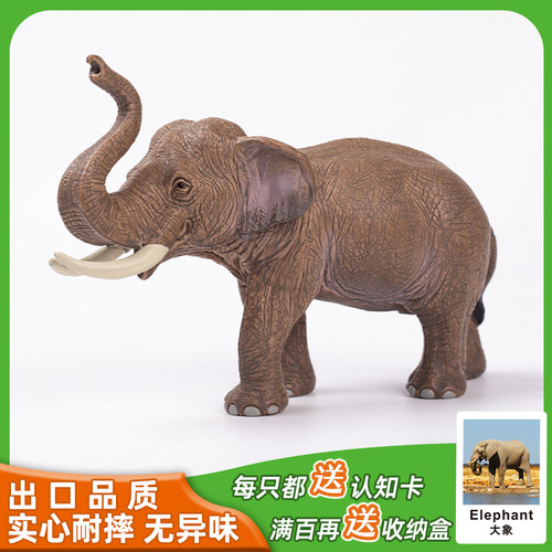 大象公象亚洲象仿真动物模型