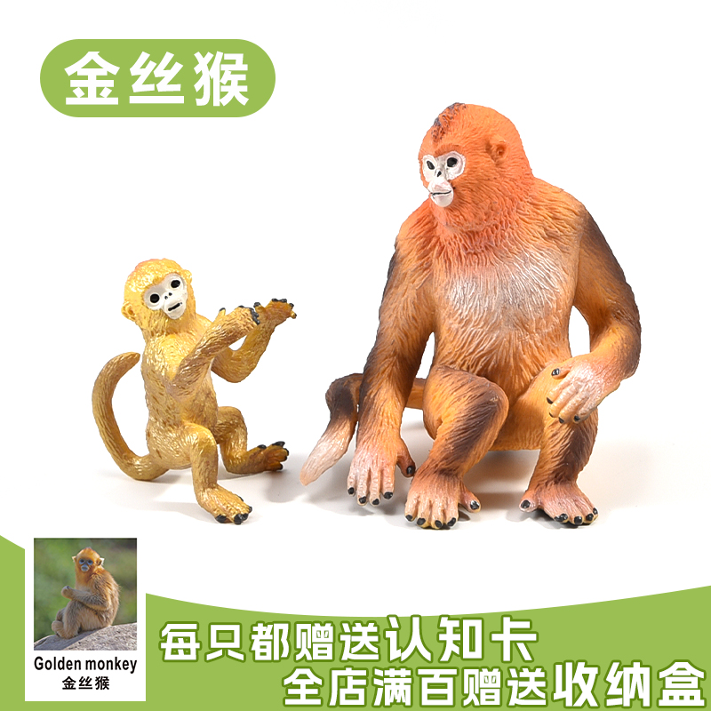 金丝猴猴子仿真实心模型玩具