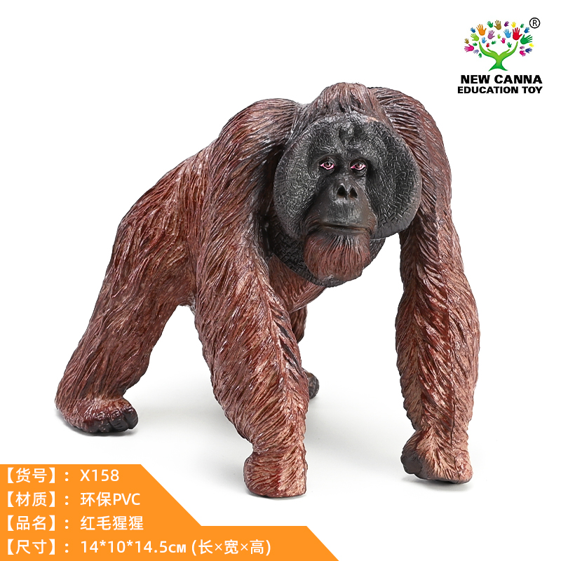 新凯纳红毛猩猩品牌正版模型玩具