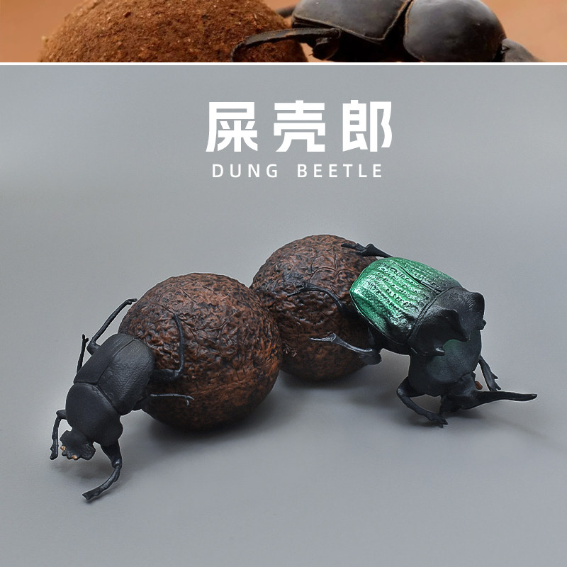 仿真昆虫野生动物模型蜣螂甲虫屎壳郎滚粪球儿童认知塑胶玩具摆件