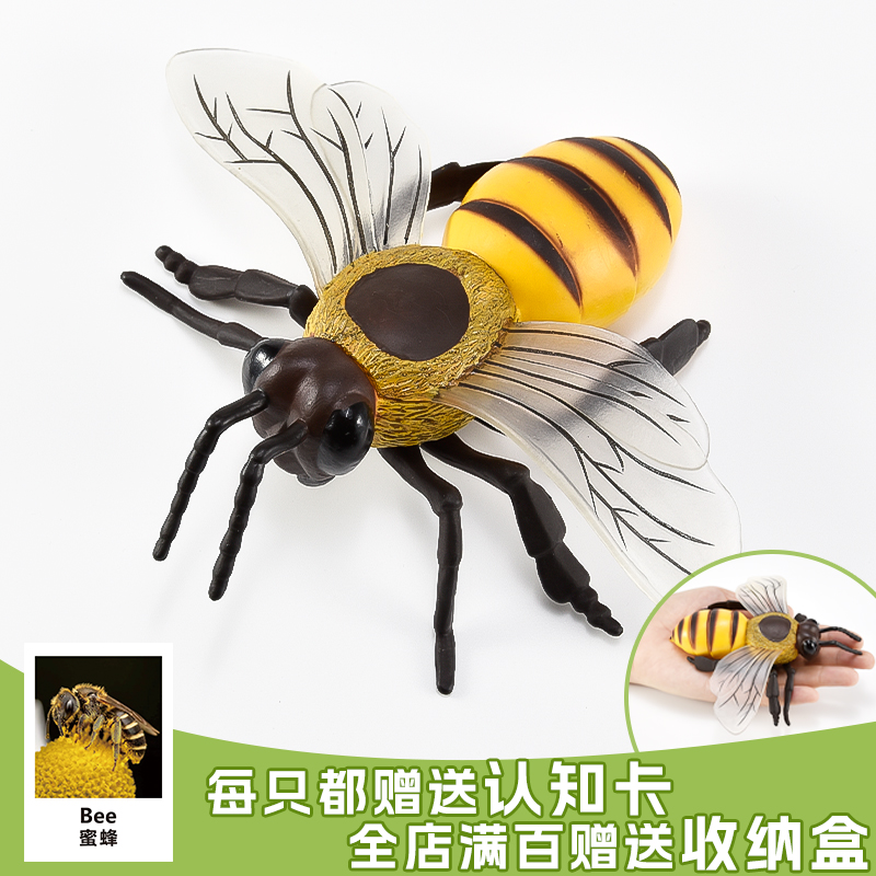 昆虫模型蜜蜂实心无异味出口品质