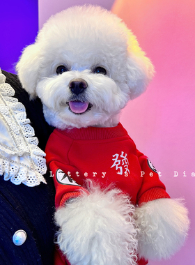新年装狗狗衣服过年发财喜庆红色泰迪雪纳瑞博美贵宾猫咪加绒卫衣