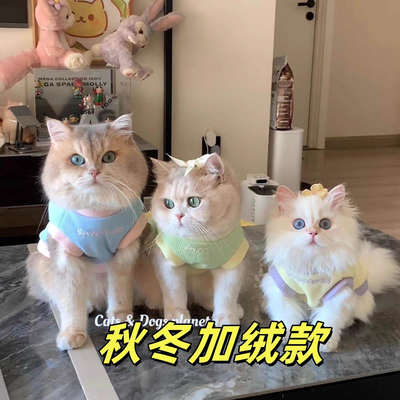 猫咪加绒保暖背心马甲