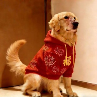 大型犬狗狗衣服喜庆红色秋冬新款金毛拉布拉多边牧加绒卫衣过年衫