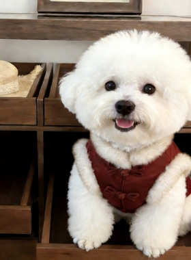 冬季衣服狗狗中国风唐装服装泰迪比熊小型犬猫咪宠物过年喜庆新年