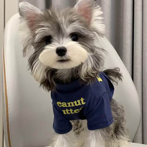 宠物猫咪加绒连帽无袖卫衣