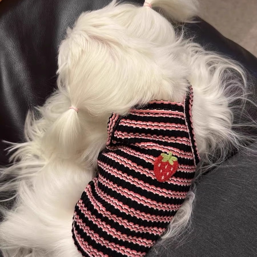 雪纳瑞宠物小型幼犬博美背心夏季针织吊带小狗狗薄款衣服泰迪比熊