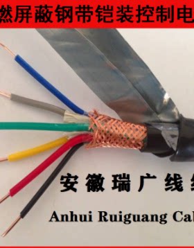 ZD-YGGB、ZLW-YGCB、安徽瑞广线缆ZRW-YFGB、WDZ-KFGB 16x2x2.5