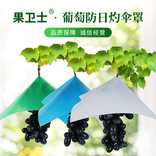 防雨水防鸟防日灼葡萄伞罩