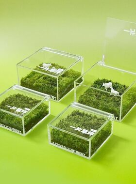 治愈系苔藓微景观室内桌面盆栽