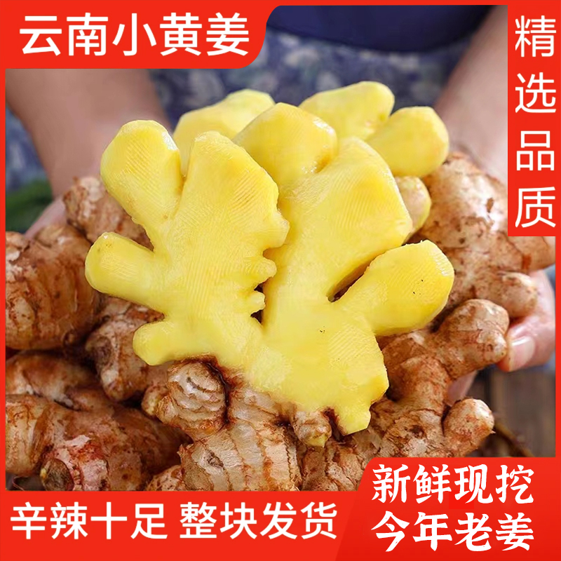 姜香浓郁云南高山种植小黄姜
