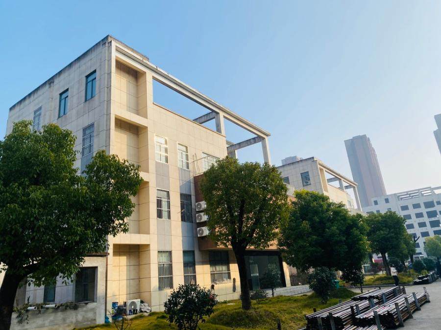 2月24日马鞍山工业土地、在建工程及地上附属物网络拍卖公告