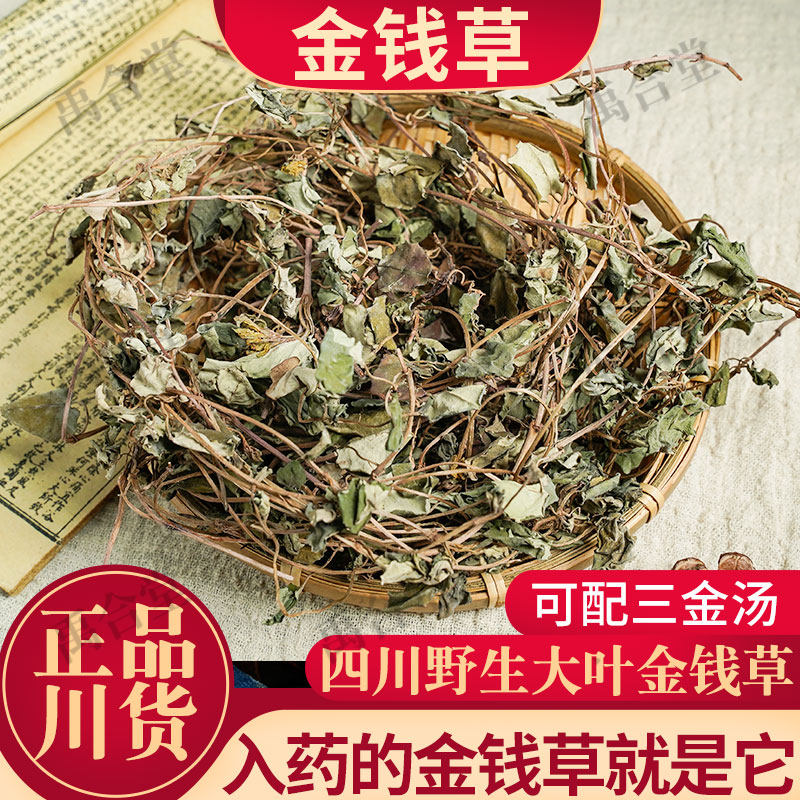 四川野生大叶金钱草干草药金前草中药材茶过路黄非广西大金钱