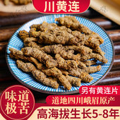 川黄连中药材单支川连雅连黄莲片根黄连粉非野生无硫无杂四川峨眉
