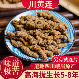川黄连中药材单支川连雅连黄莲片根黄连粉非野生无硫无杂四川峨眉