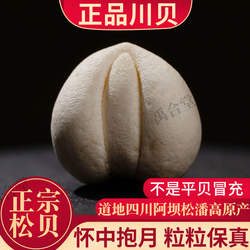 正宗川贝母松贝四川松潘粒中药材正品儿童可食无硫新货30g送陈皮
