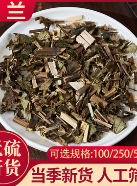野生泽兰中药材（虎兰地瓜儿苗红梗草风药蛇王菊地环秧）四川道地
