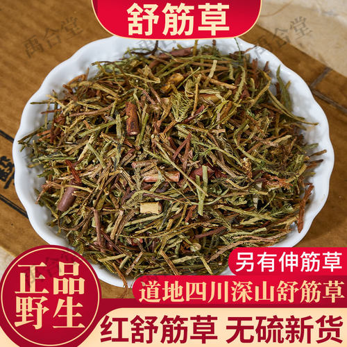 四川野生红舒筋草100/250/500g