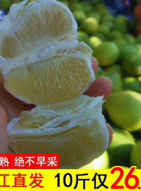 脆甜中华药柚湖南怀化老树雪峰柚安江冰糖柚新鲜小苦柚金兰柚泰柚