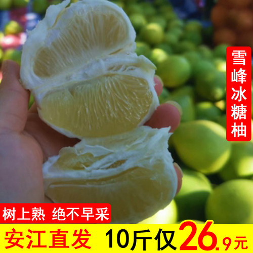 脆甜中华药柚湖南怀化老树雪峰柚安江冰糖柚新鲜小苦柚金兰柚泰柚