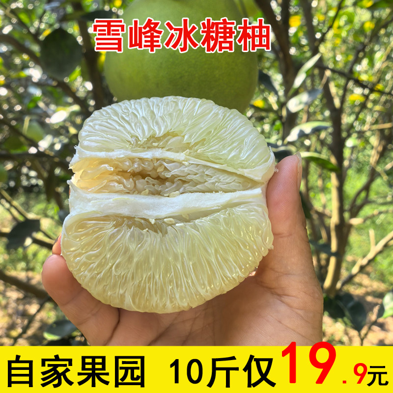 湖南雪峰冰糖柚新鲜中华药柚怀化安江老树小苦柚子白心金兰柚大果