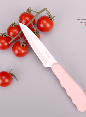 张小泉小刀随身水果刀便携户外削皮瓜果刀家用不锈钢刀子带保护套