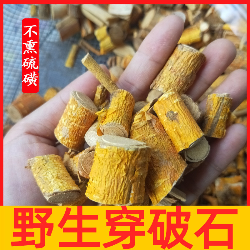 野生穿破石中药材构棘根小柘树根九层皮山荔枝新鲜晒干500克包邮