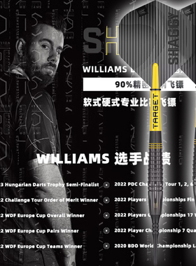 TARGET探极SCOTT WILLIAMS BLACK 黑色90钨钢硬式23/25软式20飞镖