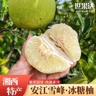 安江雪峰冰糖柚湖南怀化老树土小苦柚子新鲜水果黔阳特产安福蚕子
