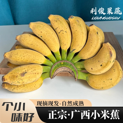 正宗广西小米蕉拇指香蕉