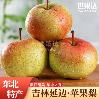 正宗吉林延边州苹果梨霜后延吉龙井东北特产新鲜水果顺丰大白梨