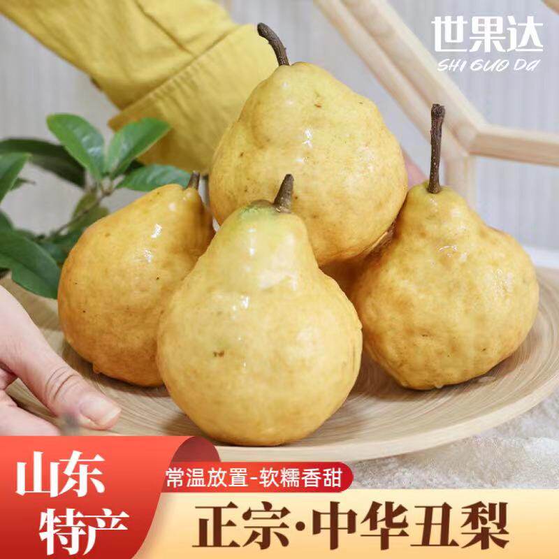 中华丑梨新鲜水果山东烟台香蕉啤梨软太婆面梨麻子笨梨菇特产整箱