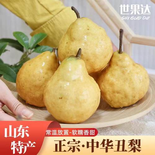 中华丑梨新鲜水果山东烟台香蕉啤梨软太婆面梨麻子笨梨菇特产整箱