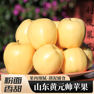 山东黄元帅苹果粉面沙甜刮泥烟台黄金帅冠黄焦香蕉平果栖霞水果