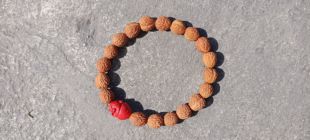 酸枣核手串手持念珠男女手链凤眼菩提野生山枣核小凤眼文玩可定制