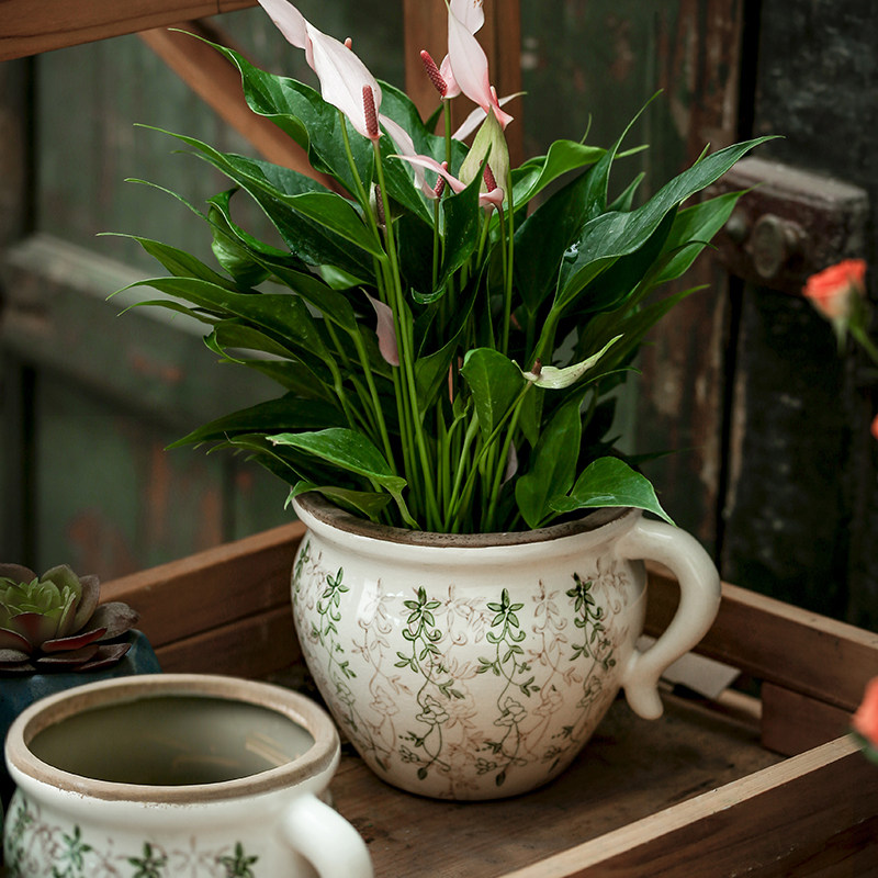 创意复古蝴蝶兰绿萝多肉陶瓷花盆家用客厅户外庭院透气大小高级感