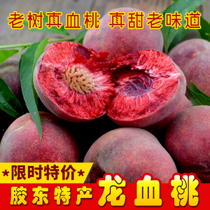 净重4.5斤新品种离核血桃大果
