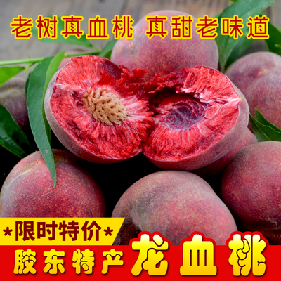 净重4.5斤新品种离核血桃大果