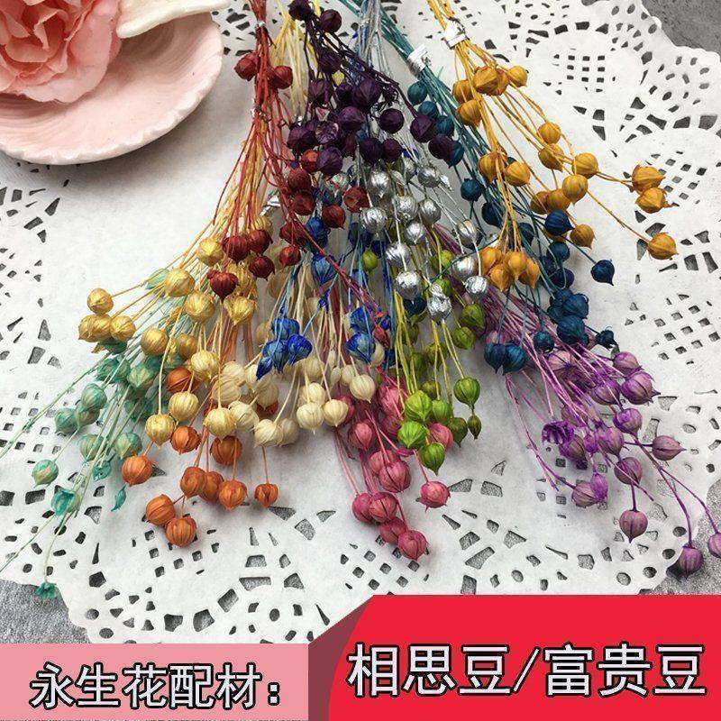 永生花花材配草类富贵豆相思豆小份装1克DIY花盒客厅卧室装饰花,鲜花速递/花卉仿真/绿植园艺,永生花,淘宝优惠券,粉丝福利购,淘宝优惠卷