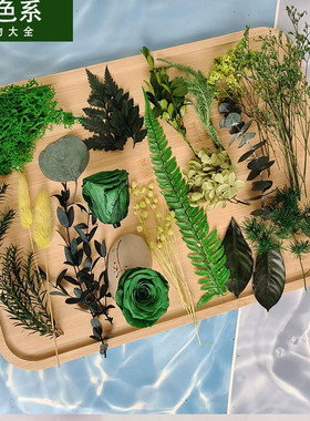 国庆绿色系永生花植物大全叶子果子绣球苔藓DIY配材森系戒指婚礼