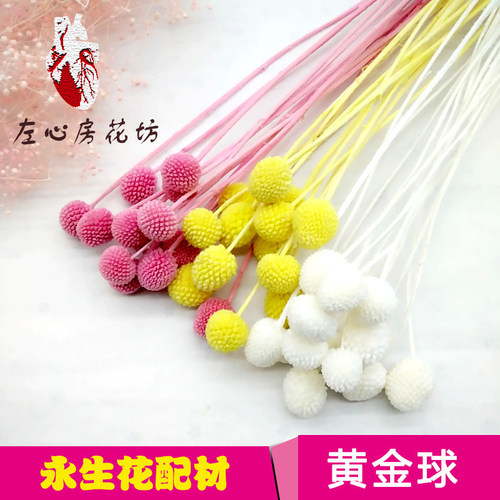 黄金球永生配材点缀diy玻璃罩