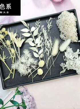 白色系永生花干花配叶配草配果DIY材料手工制作相框团扇团建礼物